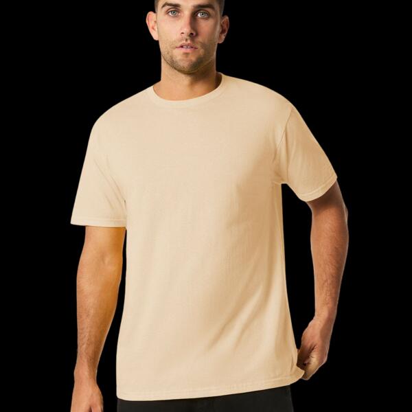 Softstyle Midweight Adult Short Sleeve T-Shirt Thumbnail