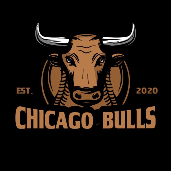 Baseball Logo Team 13 Thumbnail